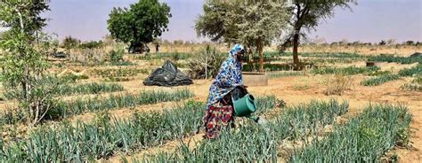 La Diaspora des Noirs du Niger en l’An 450 : Un Exode Forgé par la Sécheresse et façonné par les Rumeurs de Richesse